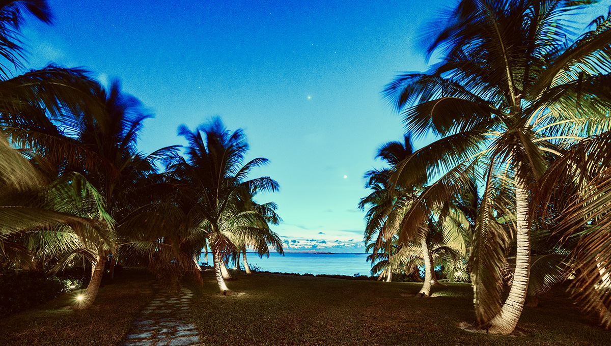 Luxury private villa rental holiday Bahamas palms